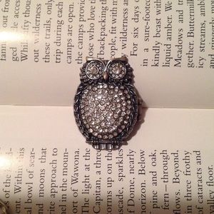 Adorable Owl Ring From Tilly’s